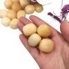 CZAOINCU 100 g Natural Orange Calcite Tumbled Stones view 3