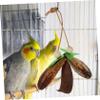 CIYODO Parrot Chew Toy view 4