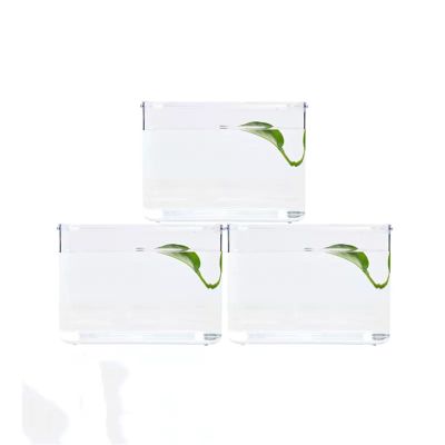 Clear Acrylic Desktop Aquarium for Fish, Color C