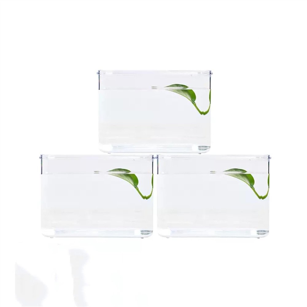 Clear Acrylic Desktop Aquarium for Fish, Color C