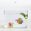 Clear Acrylic Desktop Aquarium for Fish, Color C view 4