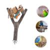 Yardwe Natural Wood Bird Perch Stand view 2