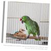 Yardwe Natural Wood Bird Perch Stand view 4