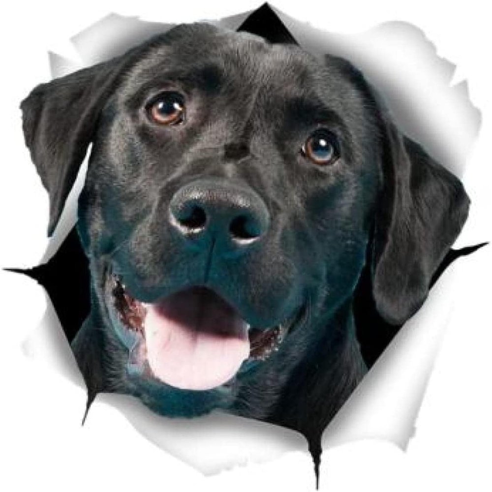 CRAFTIOS Car Stickers and Decals, 15 cm, 3D Cute Black Labrador Sticker, Dog Car Sticker for Wall, Car, Bathroom, Room, Luggage, Skateboard and Laptop, 2-Piece