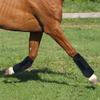 KALASONEER Horse Boots (2 Pieces) view 2