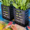 Generic Aquarium Plant Holder with Hooks view 3