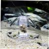 Happyyami Aquarium Snail Trap Decoration view 2