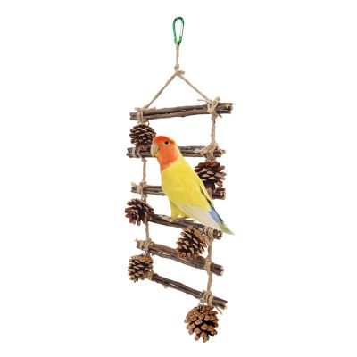 Parrot Climbing Ladder