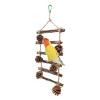 Parrot Climbing Ladder view 1
