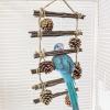 Parrot Climbing Ladder view 2