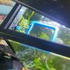 Komdndht Floating Aquarium Feeding Ring with Suction Cup, Blue view 4