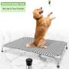 Elevated Outdoor Dog Bed, Size XL view 4