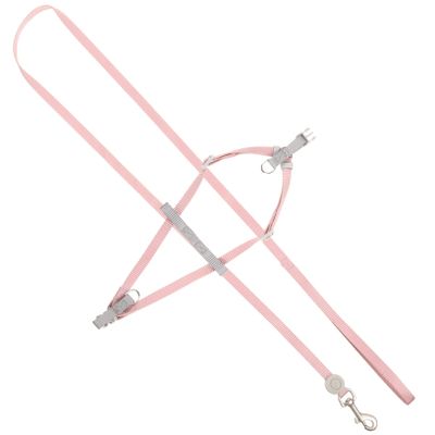 Hohopeti Lightweight Adjustable Dog Harness Set with Leash for Puppies and Small Dogs