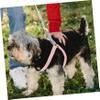 Hohopeti Lightweight Adjustable Dog Harness Set with Leash for Puppies and Small Dogs view 2