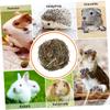 BESPORTBLE Grass Ball Chew Toy for Rabbits and Chinchillas view 4