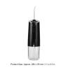 Portable Water Flosser, 3 Modes, Rechargeable, Black view 2