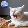 Pet Toothbrush for Cats and Dogs view 2