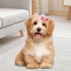 Dog Bone Snap Hair Clips - 10 Pack view 2