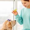 Pet Hair Clips, Bone Shape, Non-Slip, Metal Hair Accessories view 2