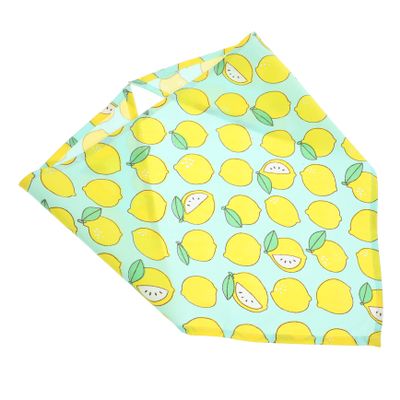 BESPORTBLE Dog Triangle Bandana