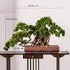 Artificial Bonsai Tree, Simulated Welcome Pine, Indoor Potted Plant, Size B view 2