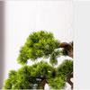 Artificial Bonsai Tree, Simulated Welcome Pine, Indoor Potted Plant, Size B view 3