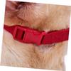 BESPORTBLE Breathable Dog Muzzle view 2