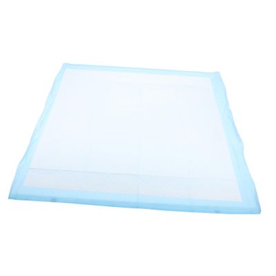 Super Absorbent Dog Training Pads, 60 x 60 cm, Disposable
