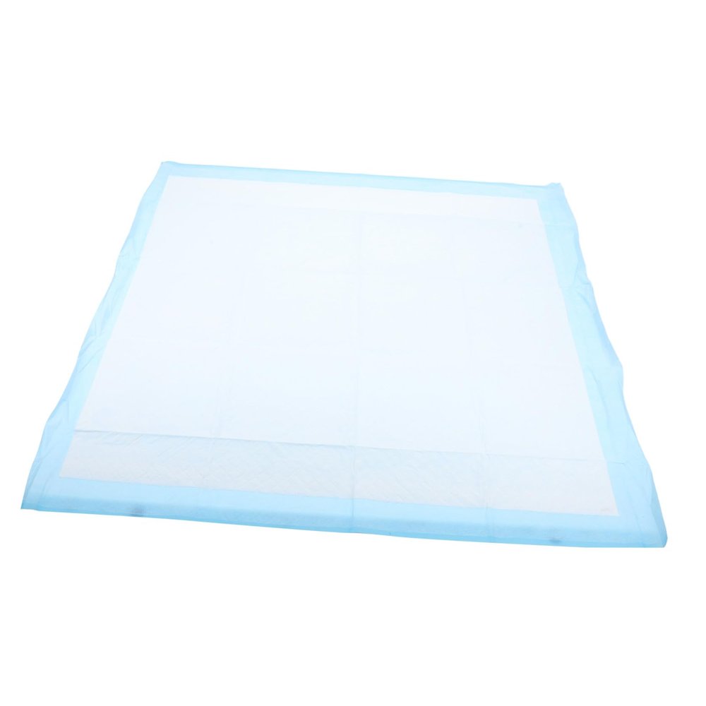 Super Absorbent Dog Training Pads, 60 x 60 cm, Disposable