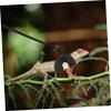 Yardwe Reptile Leash for Lizards view 4