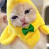 Cat Costume Banana Hat view 4