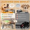 Jovrun Elevated Dog Bowls, 5-Height Adjustable Stand with 2 Stainless Steel Bowls and Slow Feeder view 3