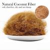 Bird Nest Coconut Fiber, 100g Natural Material for Small Animals and Bird Nests view 2