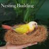 Bird Nest Coconut Fiber, 100g Natural Material for Small Animals and Bird Nests view 4