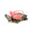 Happyyami Adjustable Turtle Leash view 2