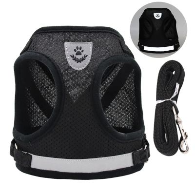 Dog Harness and Leash Set with Double D-Ring