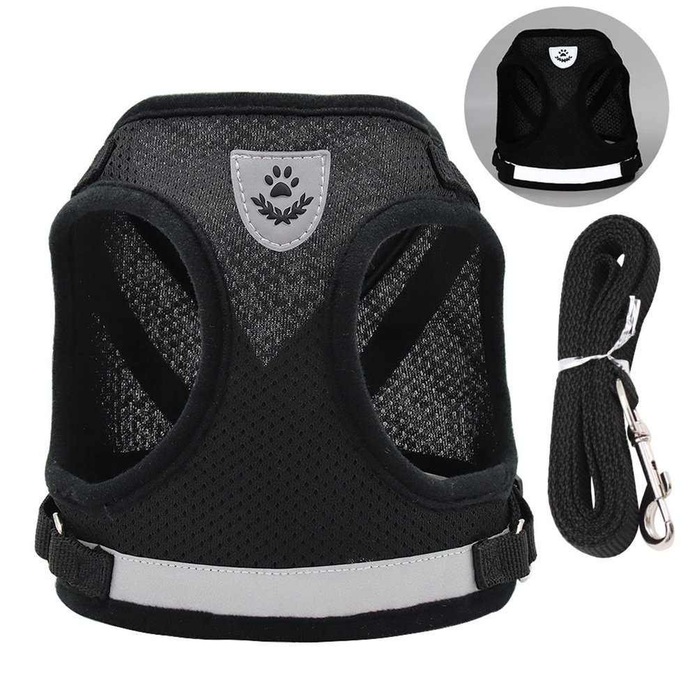Dog Harness and Leash Set with Double D-Ring
