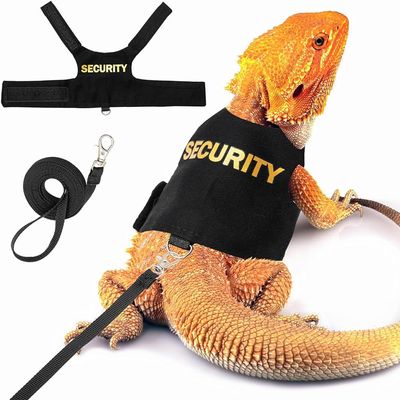 Lizard Harness and Leash Set