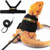 Lizard Harness and Leash Set view 1