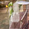 Toddmomy Bird Bath for Parrots view 2