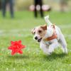 BEIJIALY Chew Toy for Aggressive Dogs view 3