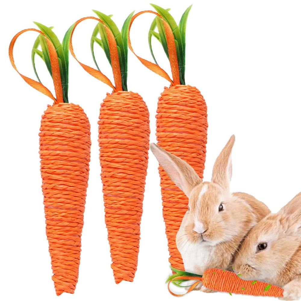 Carrot Chew Toy for Dogs
