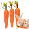 Carrot Chew Toy for Dogs view 1