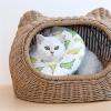 AYWTIUN Cat Cone Collar, Anti-Bite Protective Recovery Collar, Gray, M view 4