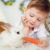 Carrot Dog Toy | 3 Pack Puppy Chew Toy view 4