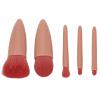5-Piece Makeup Brush Set for Eyeshadow and Loose Setting Powder with Mirror view 1