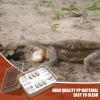 Reptile Egg Incubator Box view 3