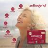 Anthogenol FORTE 50 Capsules – Original OPC Since 1948 – Grape Seed Extract view 3