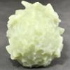 EKFBQBGW Natural Orange Calcite Crystal Skull Home Decoration, 1 Piece view 4