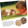 Yardwe 4-Piece Hamster Chew Toy Set view 2